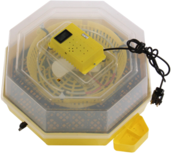 Incubator Electric Pentru Oua KlaussTech Cleo 5dth Cu Dispozitiv Intoarcere Termohigrometru Si Alimentare Apa Din Exterior 