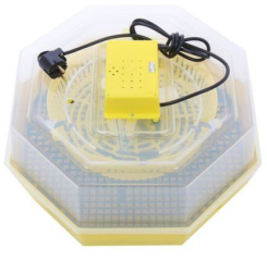 Incubator Klausstech Superior Transparent 