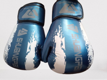 Manusi de box KlaussTech pentru antrenament 10 Oz albastru 
