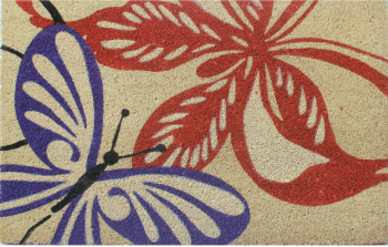 Covoras intrare Kera multicolor 50x75 cm 