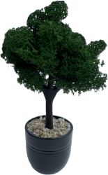 Pom decorativ cu licheni stabilizati ghiveci ceramica 