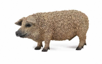 Figurina porc unguresc m collecta 