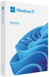 Windows 11 Home stick USB cu licenta 
