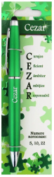 Pix personalizat nume Cezar 