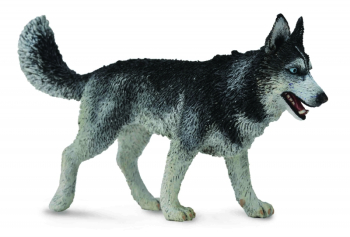 Figurina caine husky siberian l collecta 