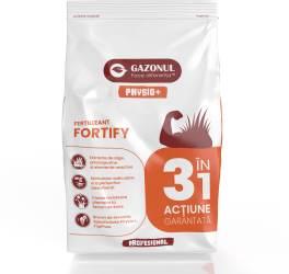 Ingrasamant Gazonul Fortify NPK 4-10-20 cu bor B si zinc Zn 3 kg 
