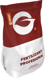 Ingrasamant Gazonul Fortify NPK 4-10-20 cu bor B si zinc Zn 15 kg 