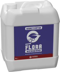 Biostimulator Gazonul Flora Microbiana 5 l 