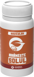 Ingrasamant Gazonul Hraneste Solul 250 ml 