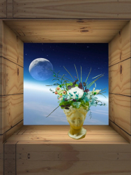 Aranjament floral cu Trandafir Criogenat si plante Criogenate in vaza Venus Eventissimi 