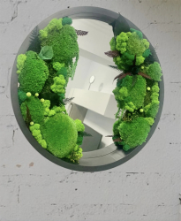 Oglinda decorativa rotunda cu muschi licheni si plante criogenate 51 cm Verde 