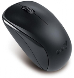 Mouse Optic Genius NX-7000X USB Wireless Black 