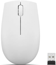 Mouse Optic Lenovo 300 USB Wireless Cloud Grey 