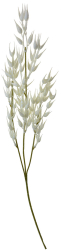 Set 3 flori artificiale albe 15x2x72 cm 