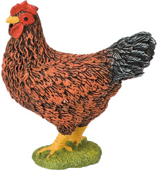 Gaina Maro 