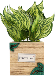 Ghiveci Lemn Cu Flori Verde Plastic 21Cm - Verde Plastic 21cm 
