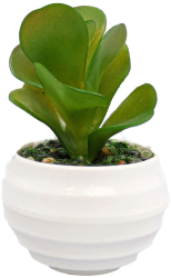 Planta Suculenta Artificiala Verde Plastic 10Cm - Verde Plastic 10cm 