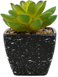 Planta Suculenta Artificiala Verde Plastic 9Cm - Verde Plastic 9cm 