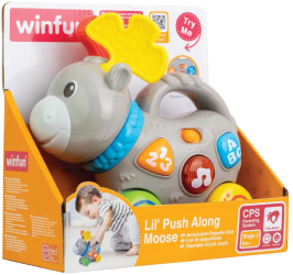 Winfun Jucarie De Impins Elan 