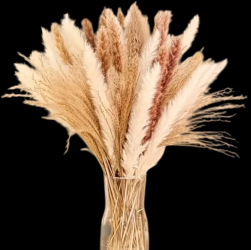Set Flori decorative 110 fire iarba Pampas - Bej 