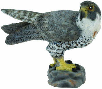 Figurina soim calator s collecta 