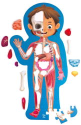 Puzzle pentru copii Hape - Corpul Uman 61 piese 