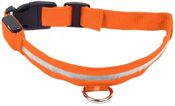 Zgarda iluminata cu LED Orange pentru caine sau pisica AVX-AG232C 