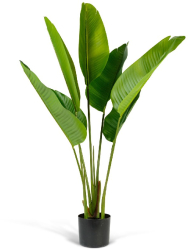 Planta Artificiala Decorativa Model Bananier in Ghiveci cu Aspect Natural Culoare Verde si Inaltime 120 cm 