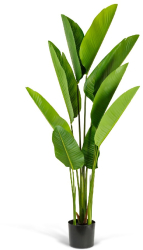 Planta Artificiala Decorativa Model Bananier in Ghiveci cu Aspect Natural Culoare Verde si Inaltime 160 cm 