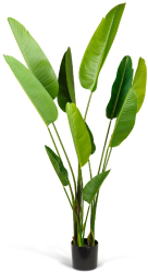 Planta Artificiala Decorativa Model Bananier in Ghiveci cu Aspect Natural Culoare Verde si Inaltime 190 cm 