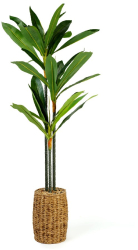 Planta Artificiala Decorativa Model Dracaena Fragrans in Ghiveci cu Aspect Natural Culoare Verde si Inaltime 110 cm 
