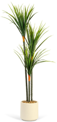 Planta Artificiala Decorativa Model Dracaena Marginata in Ghiveci cu Aspect Natural Culoare Verde si Inaltime 120 cm 