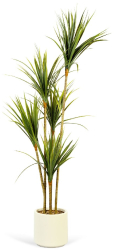 Planta Artificiala Decorativa Model Palmier in Ghiveci cu Aspect Natural Culoare Verde si Inaltime 150 cm