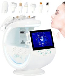 Aparat cosmetic profesional analizor de piele pentru curatare cu hidrogen combinat 9 in 1 
