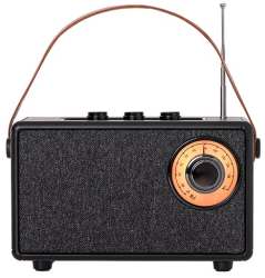 Radio portabil Camry CR 1902 USB-C Bluetooth 5W 