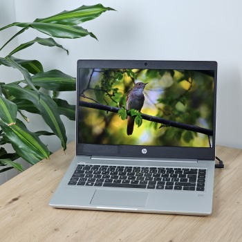 Laptop Second Hand HP PROBOOK 445 G6 Procesor RYZEN 3 2200U Memorie RAM 8 GB SSD 256 GB NVME Windows 10 Pro Webcam US/UK Ecran 14.0 inch 