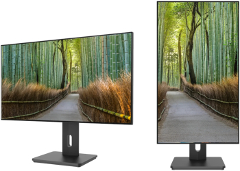Japannext 25" IPS inch. 4K UHD (3840x2160) HDR Height Tilt Adjustable (HSP) Integrated Speaker VESA Flicker-Free