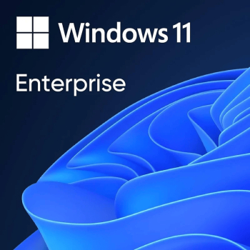 Licenta electronica Windows 11 Enterprise OEM 