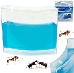 Acvariu educativ cu gel pentru furnici 