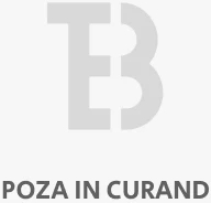 Clesti de Precizie de Prindere pentru Electronisti Suprafata Lustruita si Manere cu Manson Bicomponent L 115 Mm B X A X D X E X F 22.5 X 