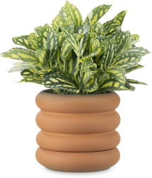 Ghiveci Ripple Navaris dimensiuni 16x16x14 cm pentru plante 60823.01 