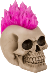 Pusculita Craniu - Punk 
