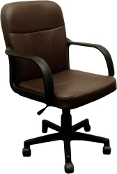 Scaun birou maro AYLA NEW Sani 55 x 59 5 x 89-101 cm 
