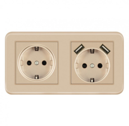 Priza Dubla De Perete cu 2 Porturi USB Techstar® TS-PC 110-250V 16A Ignifuga 80x151mm Auriu 
