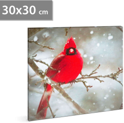 Tablou cu LED - cinteza rosie - 2 baterii AA - 30 x 30 cm 58478 