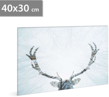 Tablou decorativ LED cu ren - 40 x 30 cm 