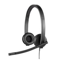 Căști cu microfon Logitech H570e, USB-C, Negru