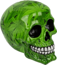 Pușculiță craniu