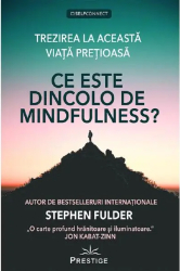Ce este dincolo de Mindfulness - Stephen Fulder 
