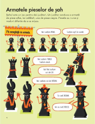 Prima mea carte despre SAH Katie Danes 